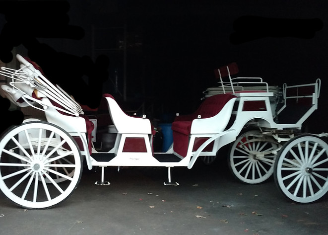 20210329_145806.jpg
